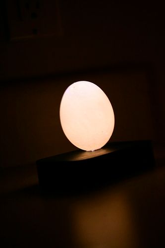 Eggcellent Night Light!