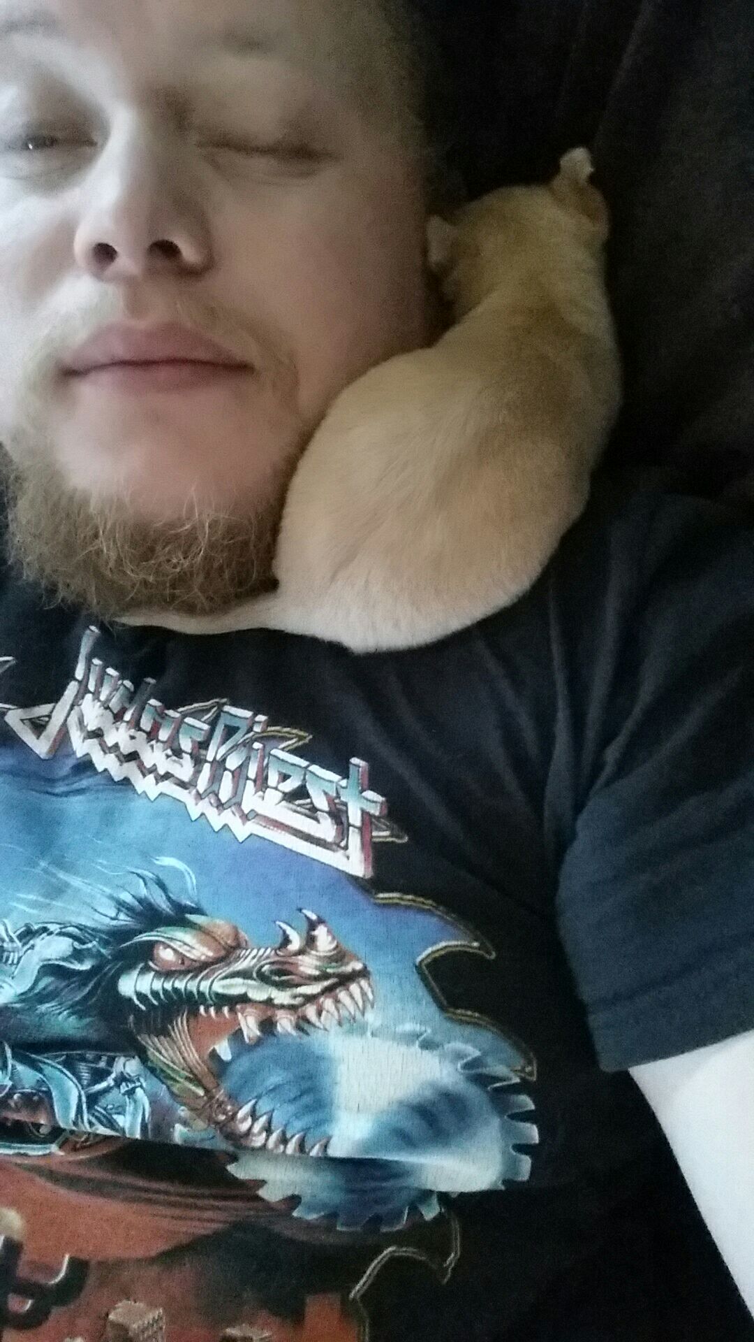 kreator