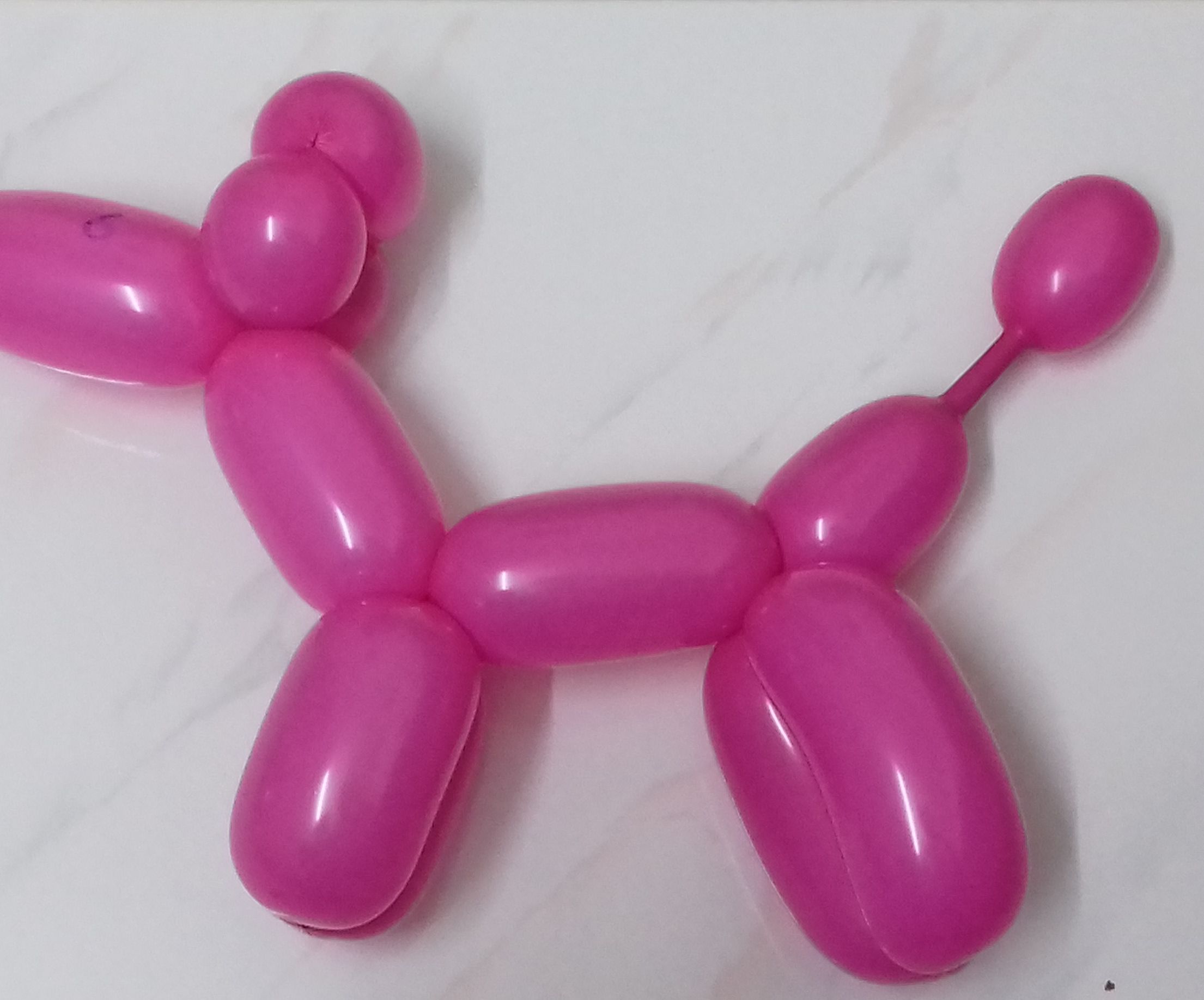 Balloon Twisting - Poodle