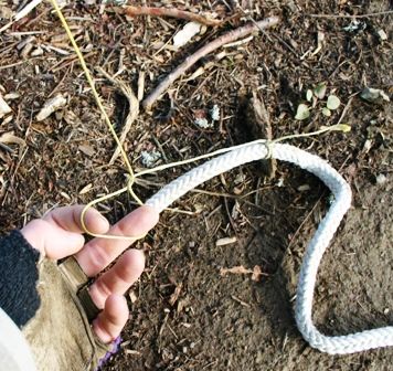 How to Get a Rope Into a Tree (without Climbing It) : 6 Steps ...