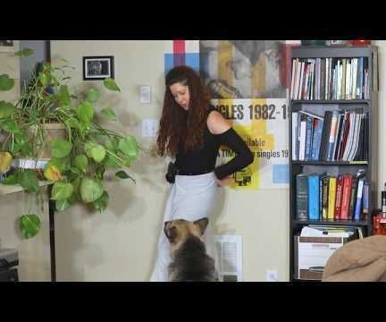 Micro:Bit Dog Door Opener