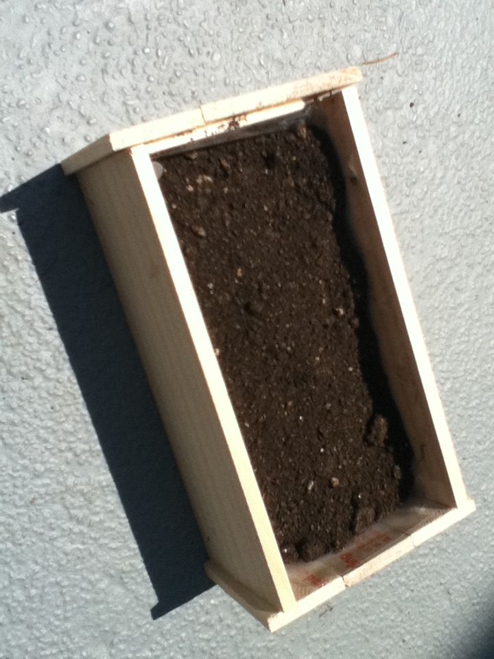 Easy Planter Project