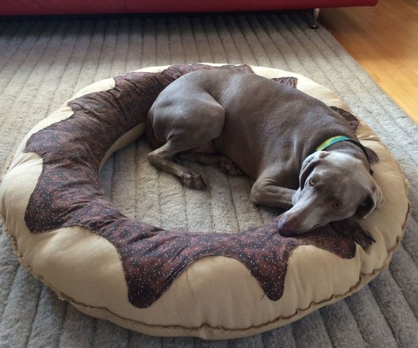 Donut Dog Bed + a Donut Party!