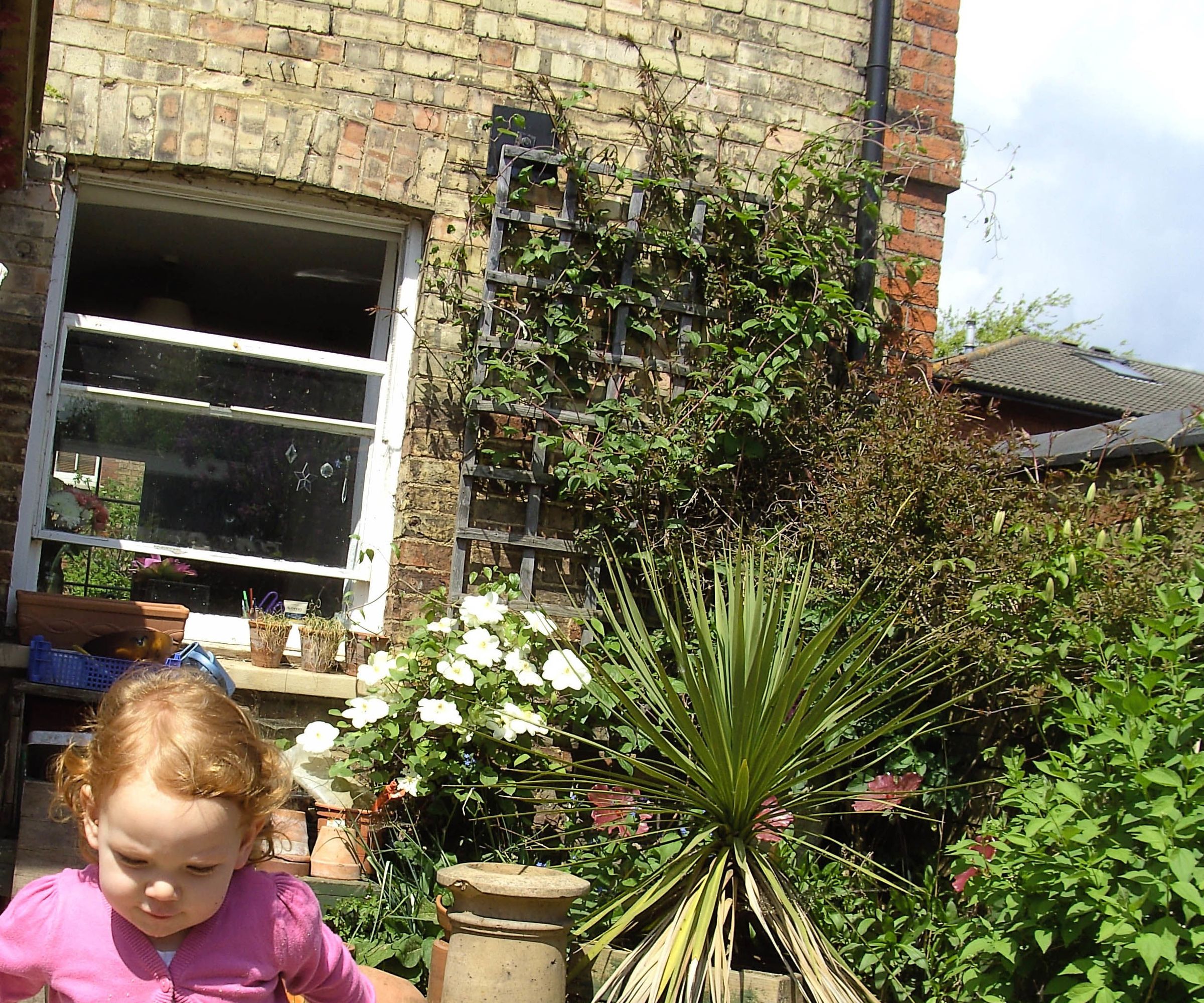 Solar Powered Hose Pipe