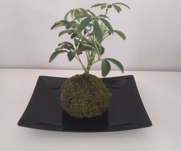 How to Make Flora Art Ball