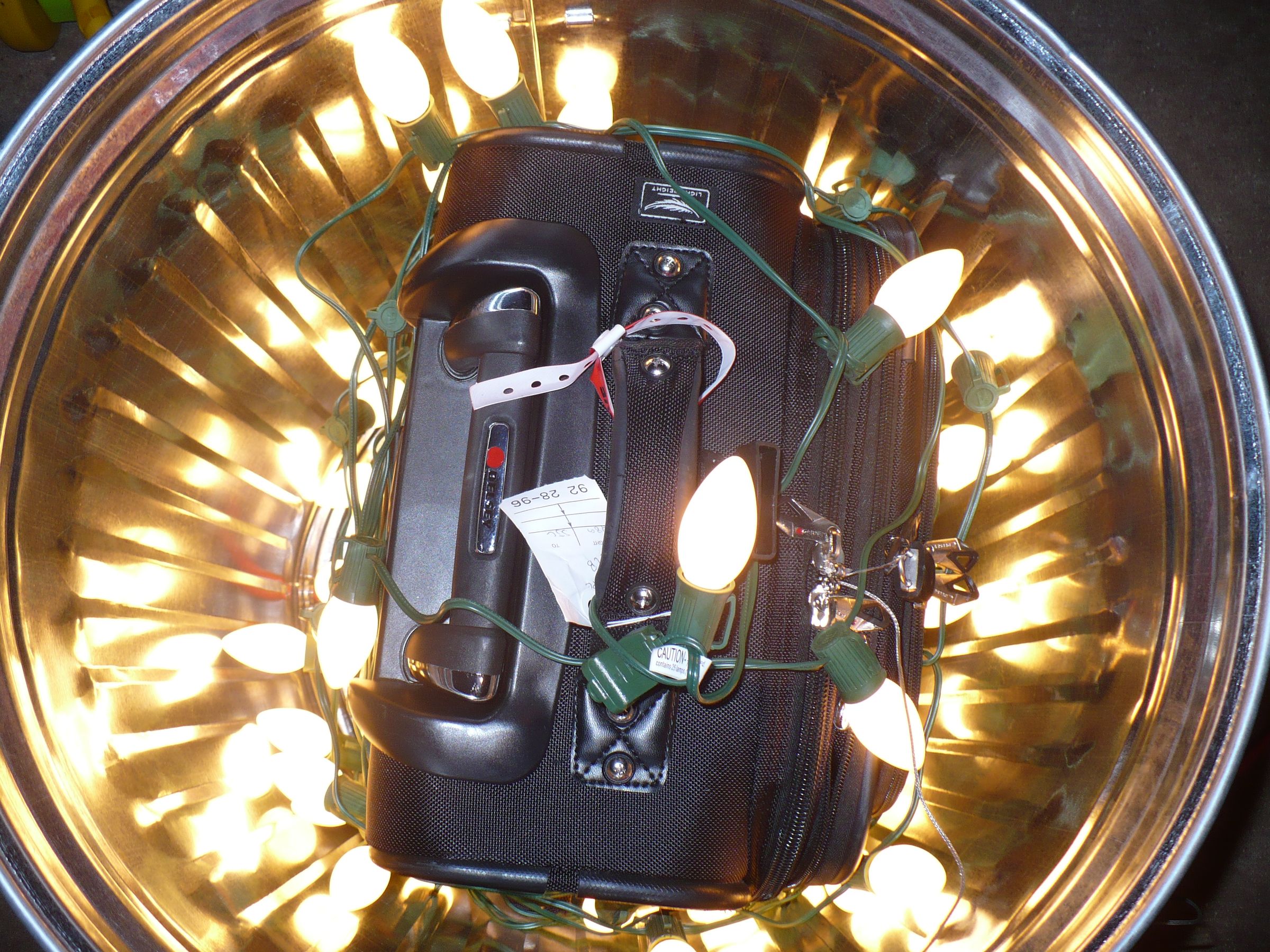 Kill bedbugs with your Christmas lights