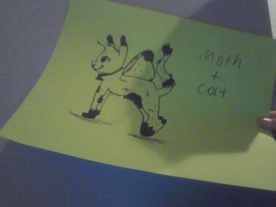How to Make Your Own Animal Species!