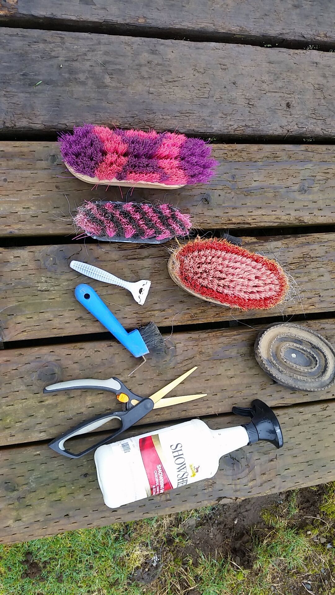 How to Groom a Horse and What You Need Instructables
