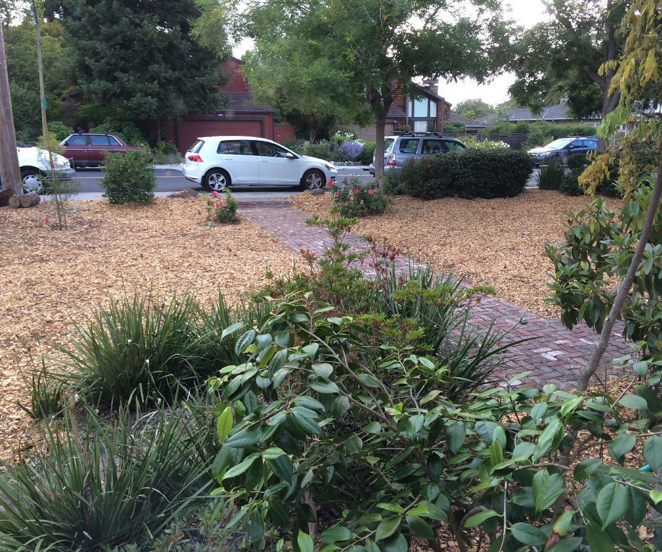 Water Wise California - Zero Water Use Lawn Replacement