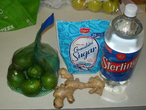 Ginger Ale Syrup