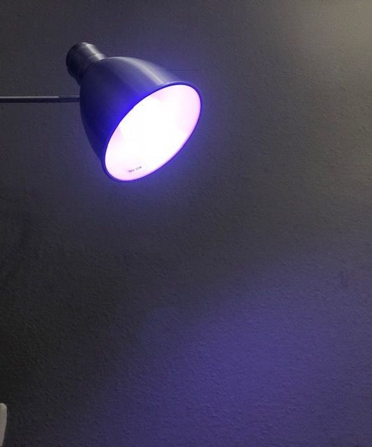 IoT School Project Philips Hue