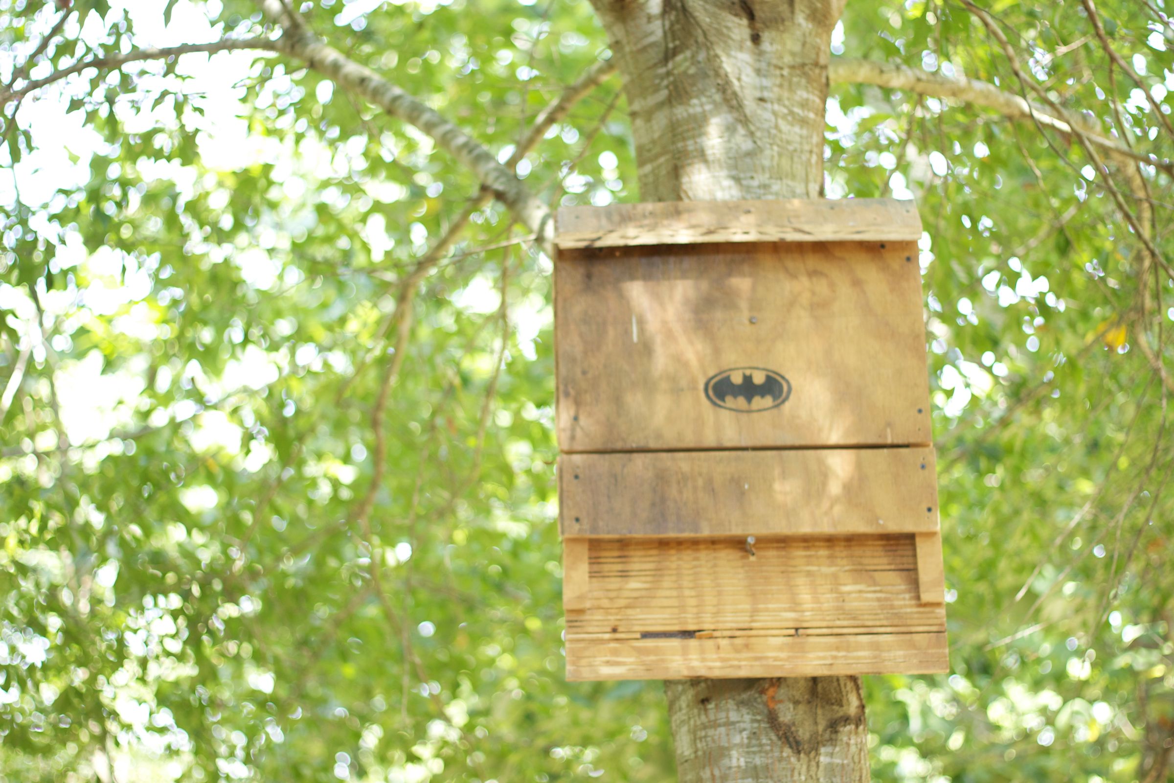 The Bat House: a Green, Energy Efficient Insect Repellant