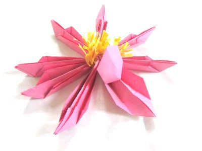 Lift the Petals