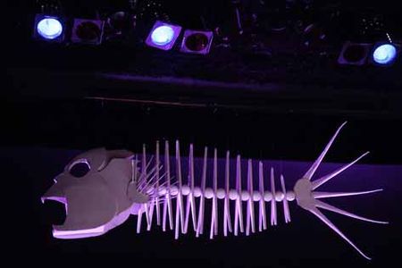 Kinetic Cardboard Fish