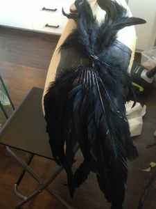 Attaching the Feathers