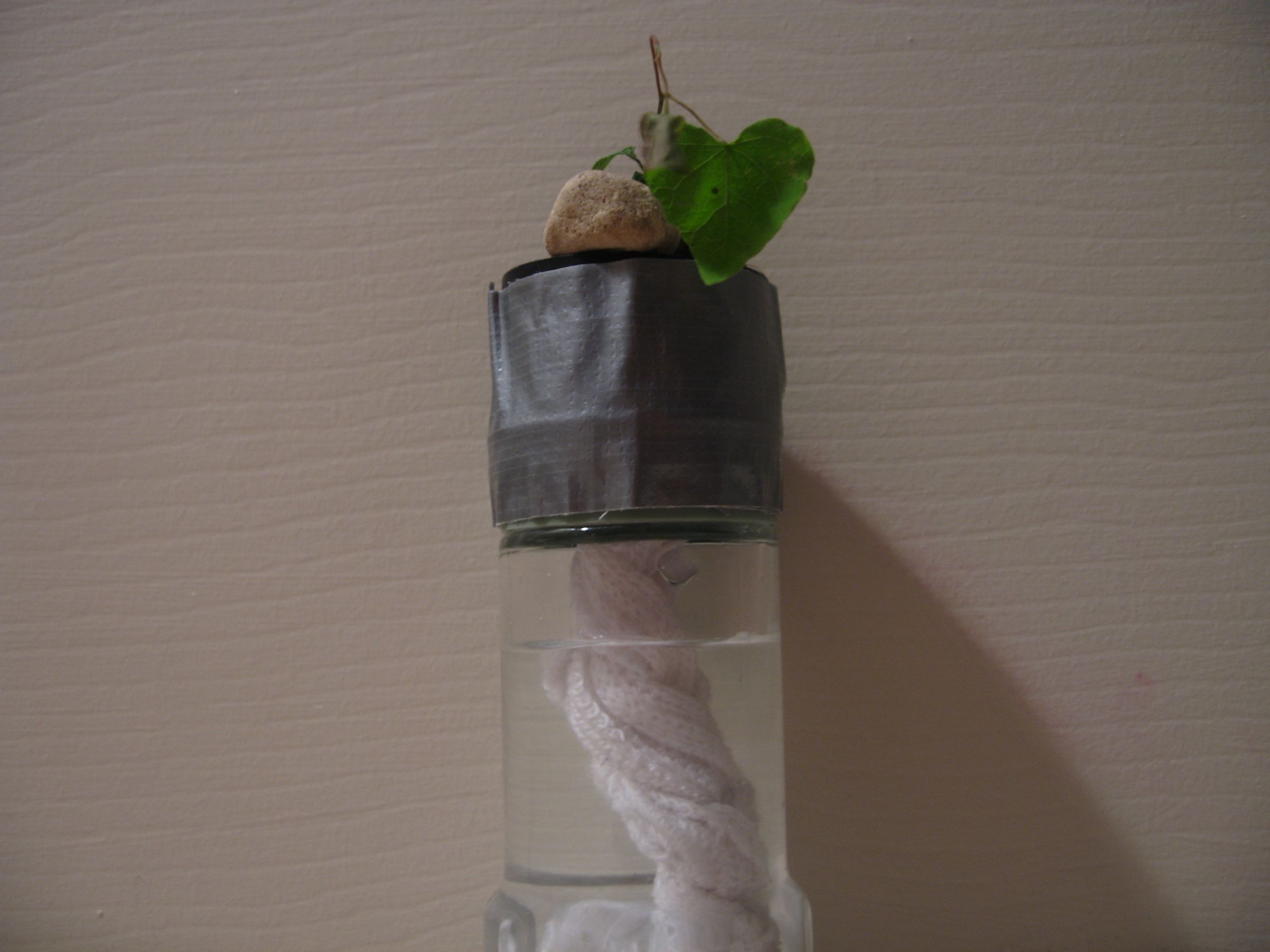 Make a Super-easy Hydroponics System!