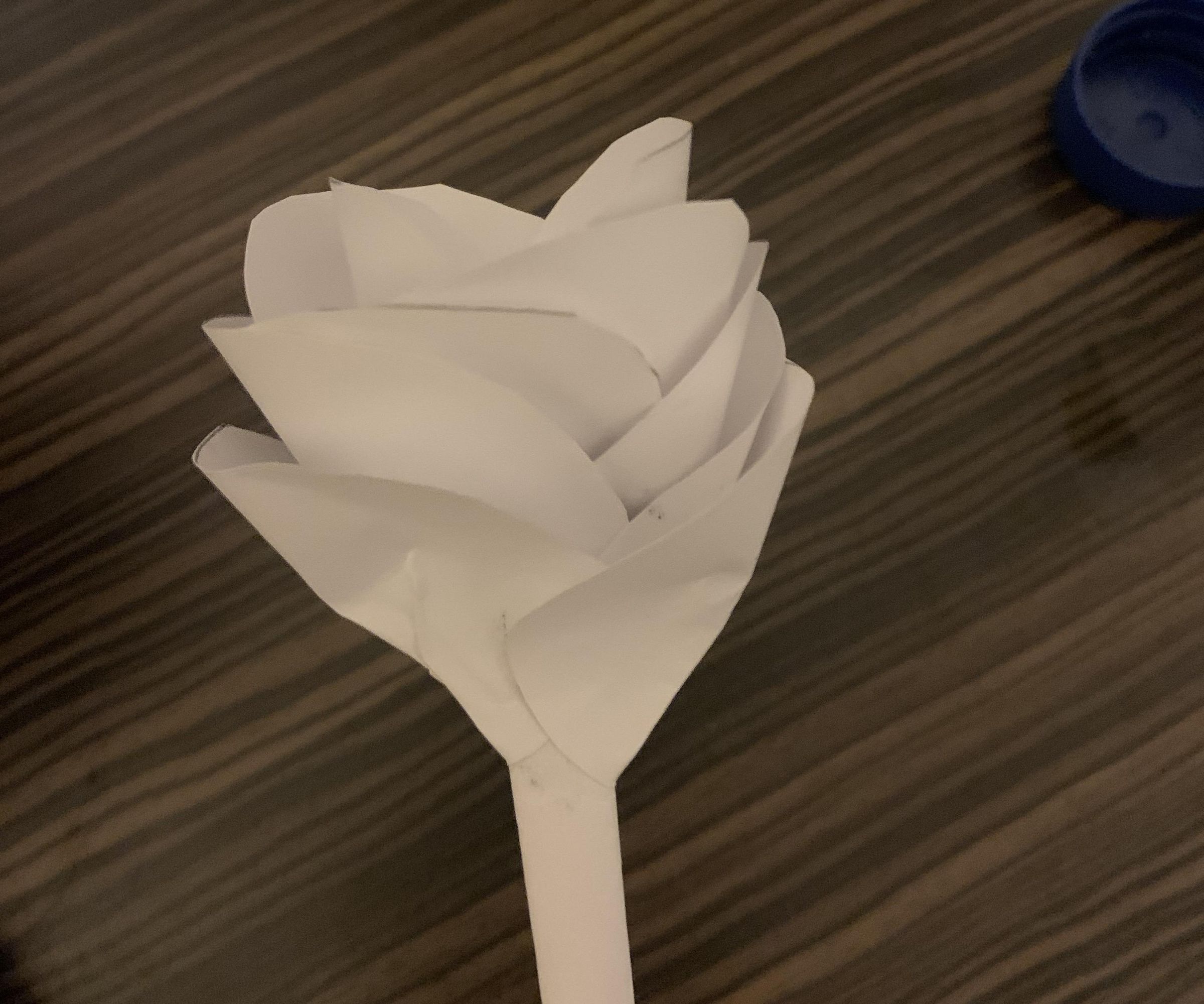 Creating Paper Flowers