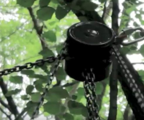 Hoist, Big Tree ... Simple Technology 