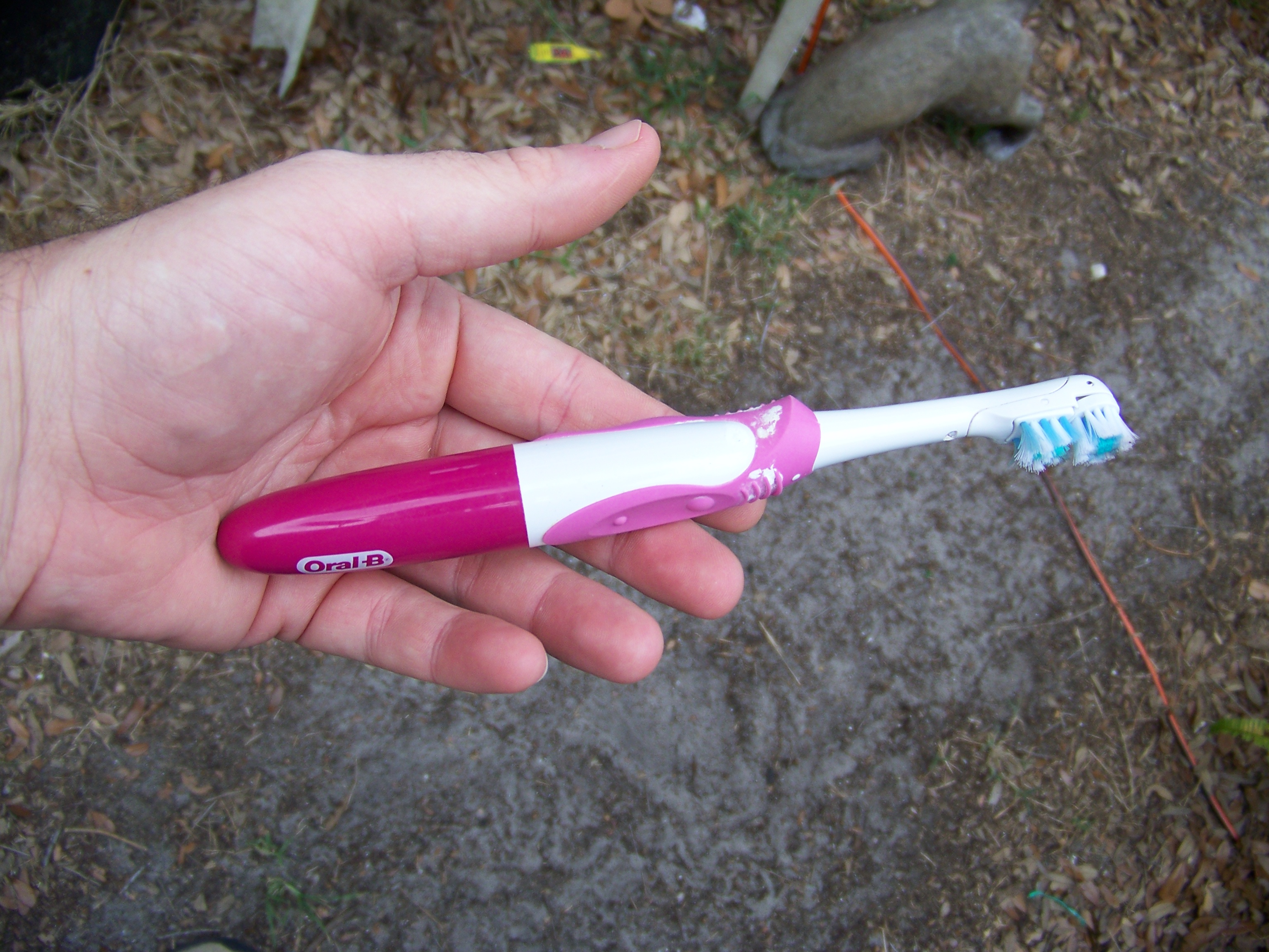 Pollinating Tomatoes Instructables