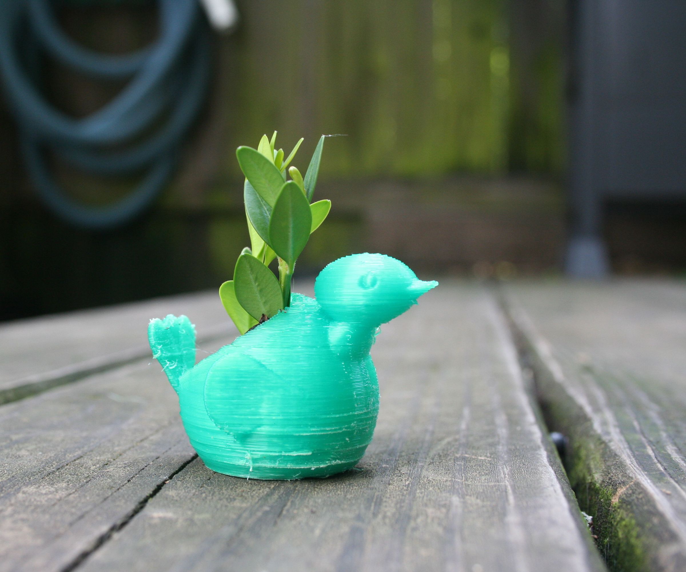 Tinkercad 3-D Printed Bird Planter