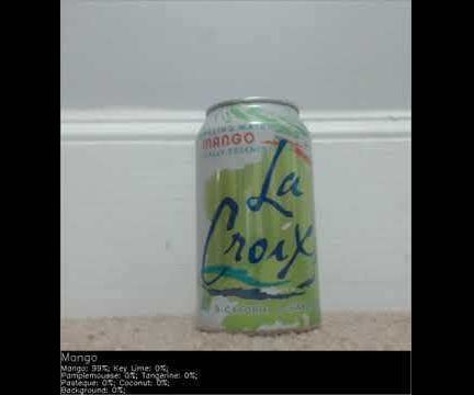 RPi Easy Object Detection - La Croix Flavor Detector