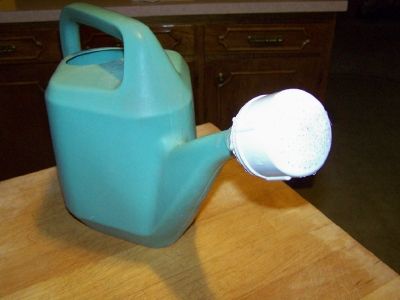 Rescue a Watering Can