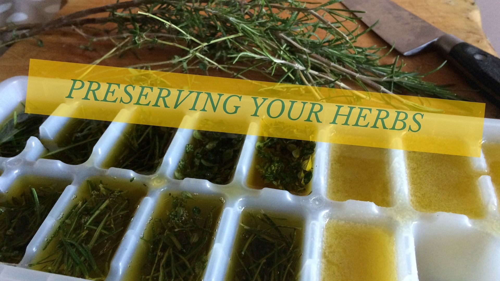 Preserving Herbs in Olive Oil 4 Steps (with Pictures) Instructables