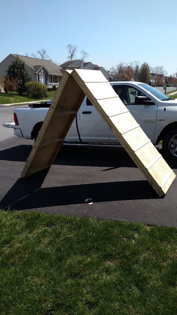 Build Dog Agility Ramp at Leigh Clanton blog