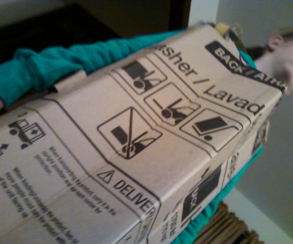 Fantastically Fun Flipper Costume