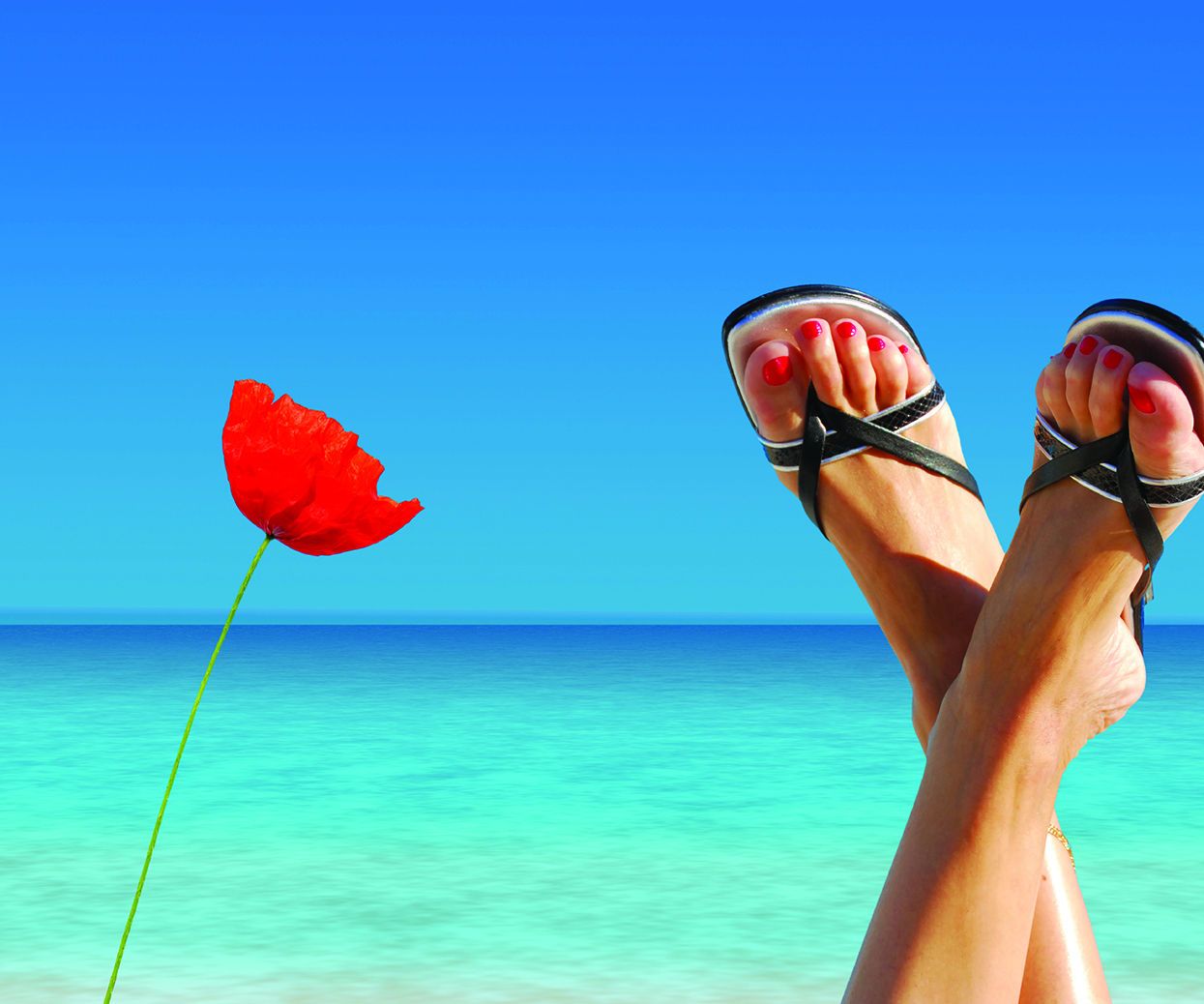 Treatment for 2.4 Million Sufferers