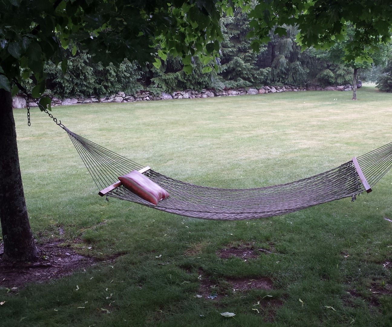Jury Rig a Hammock Between Trees