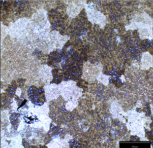Homogenized Alloy Analysis