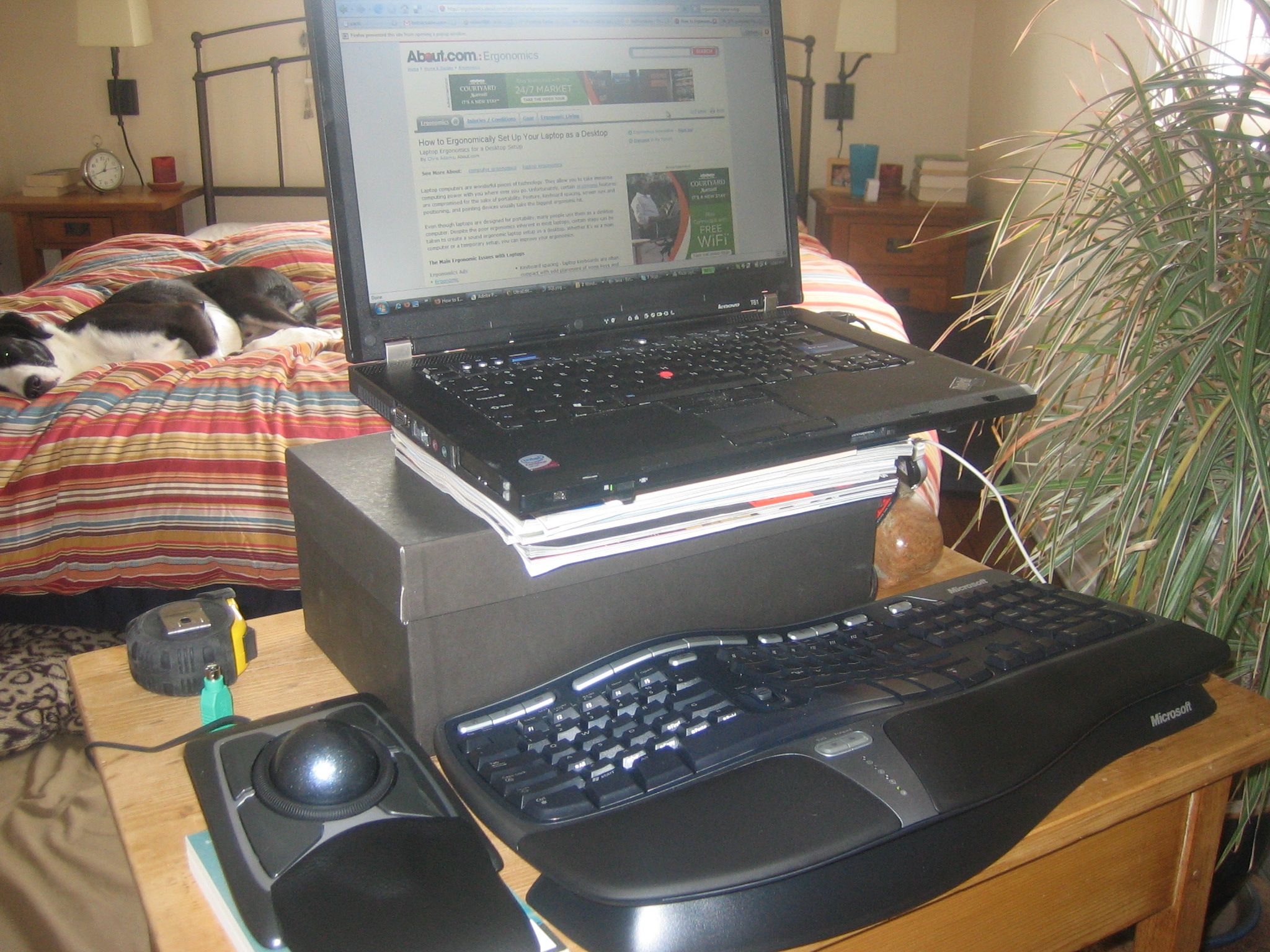 Ergonomic Laptop Setup
