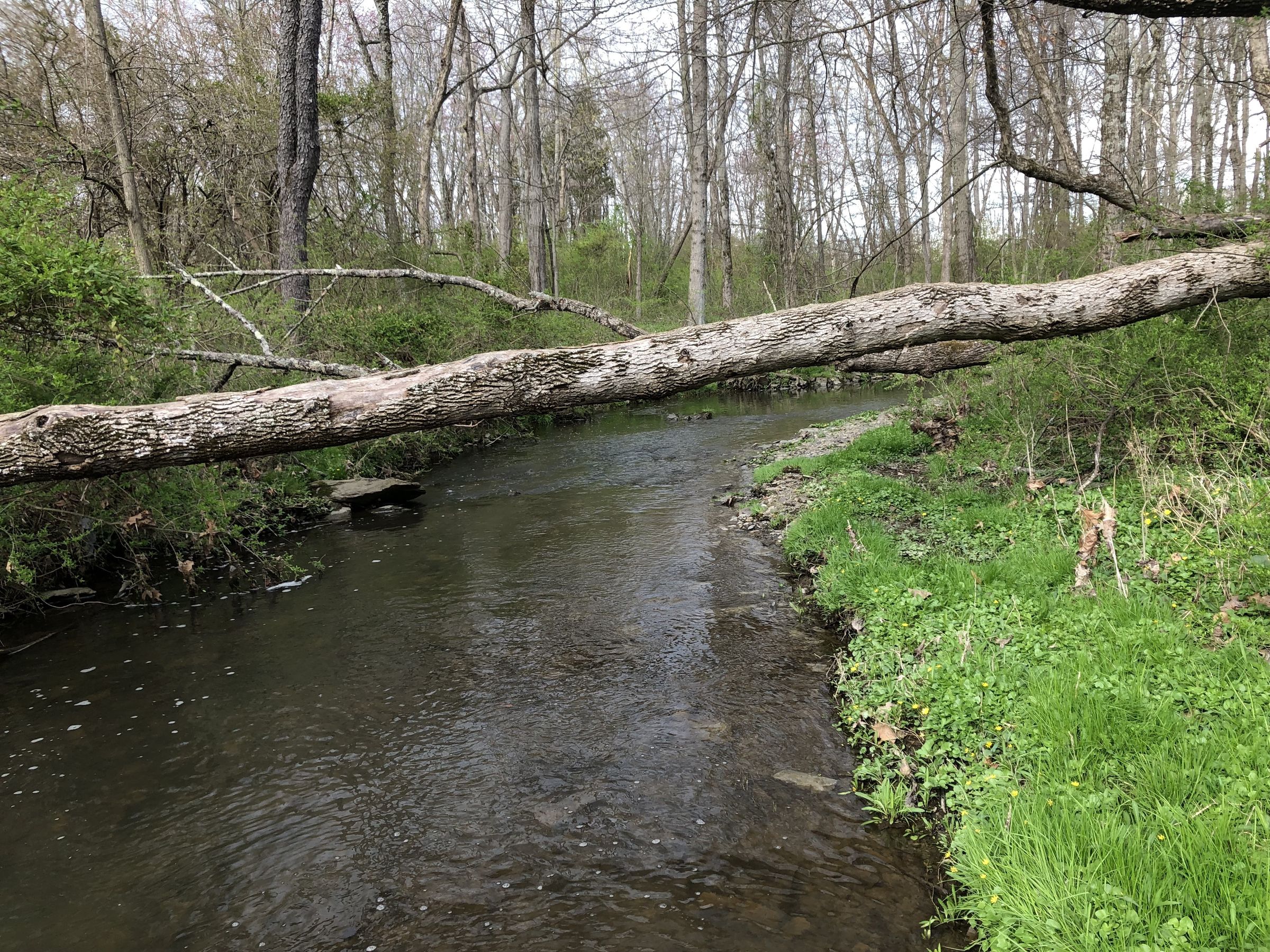 Homemade Jenga Block Spectrophotometer for Algae Experiments 15 Steps Instructables