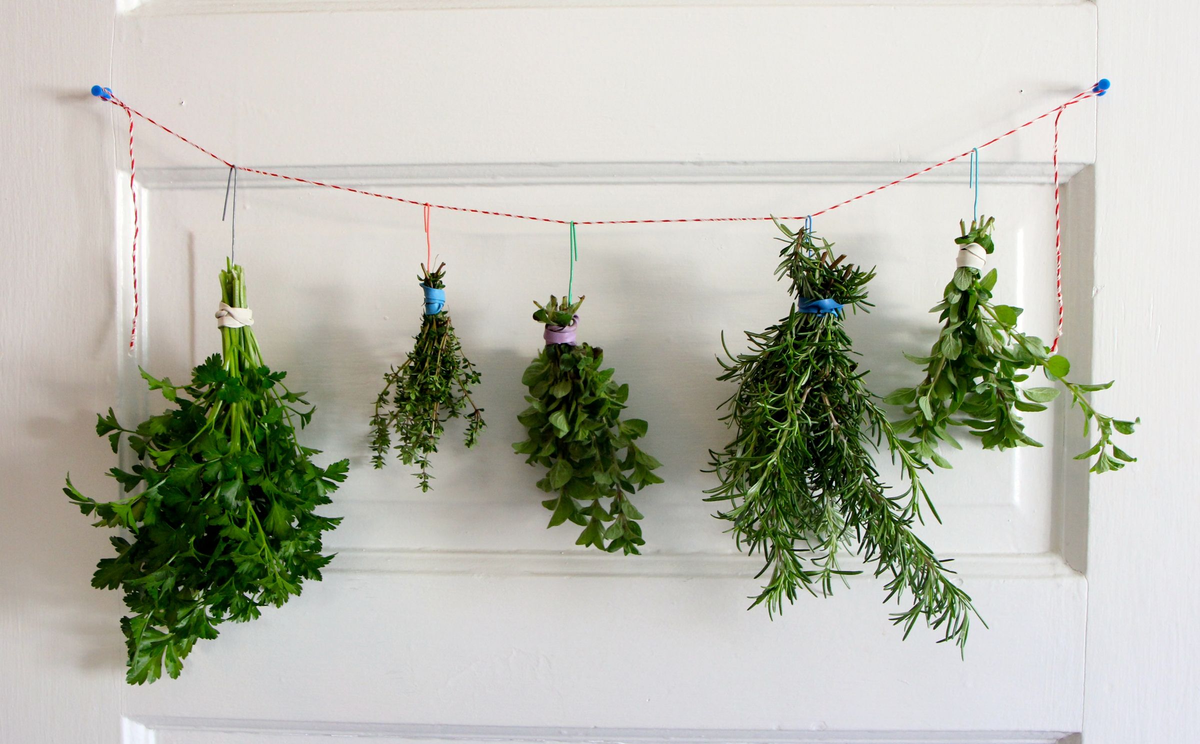 Drying Fresh Herbs 10 Steps (with Pictures) Instructables