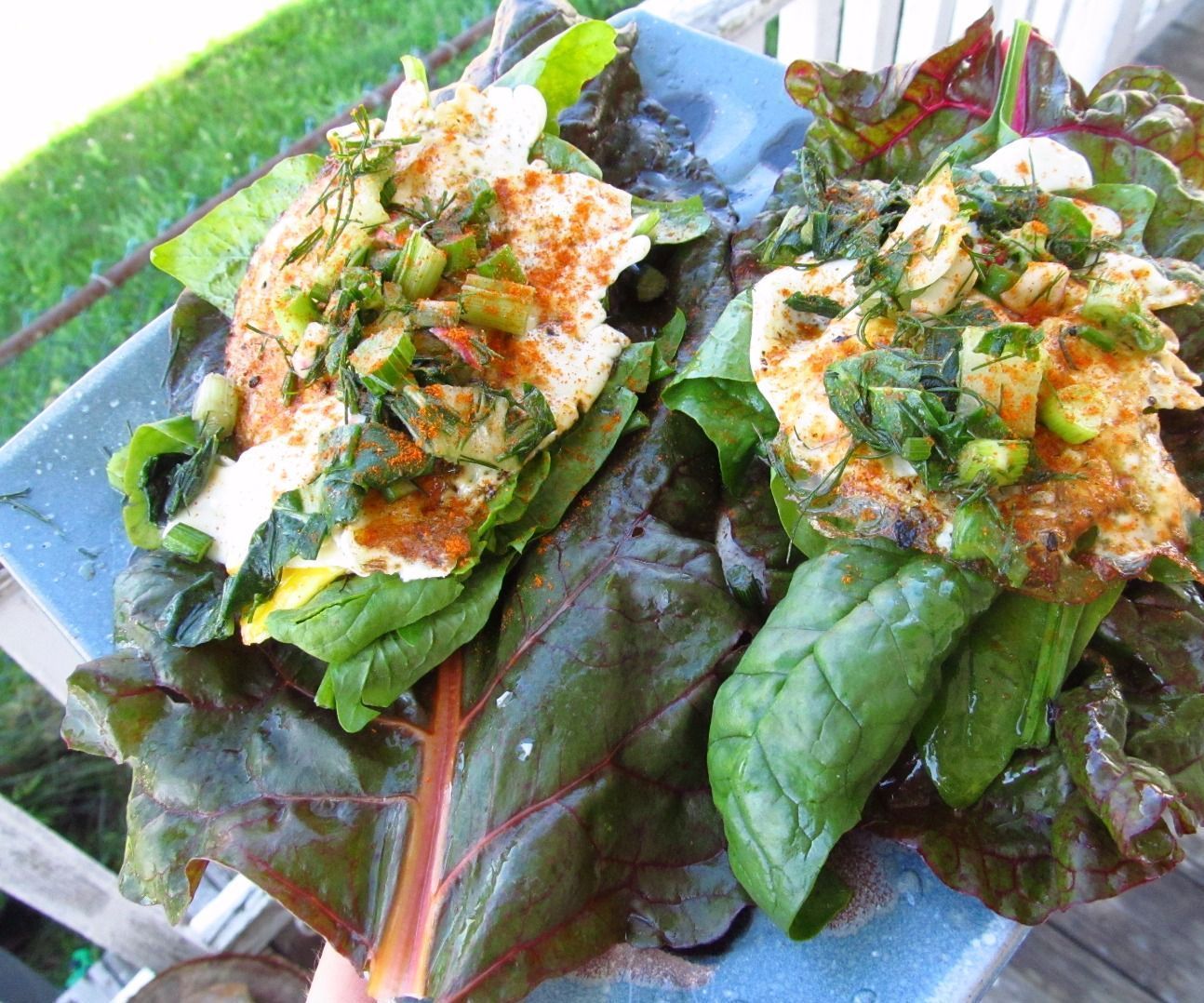 Traditional Leafy Veggie Ferment