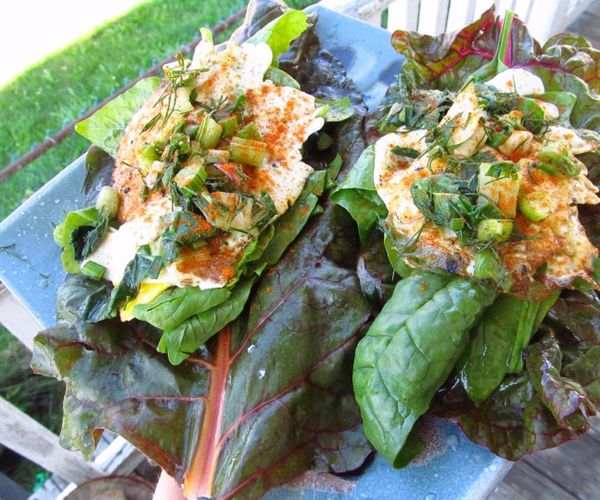 Traditional Leafy Veggie Ferment