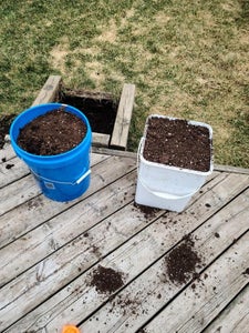 Bucket Planters
