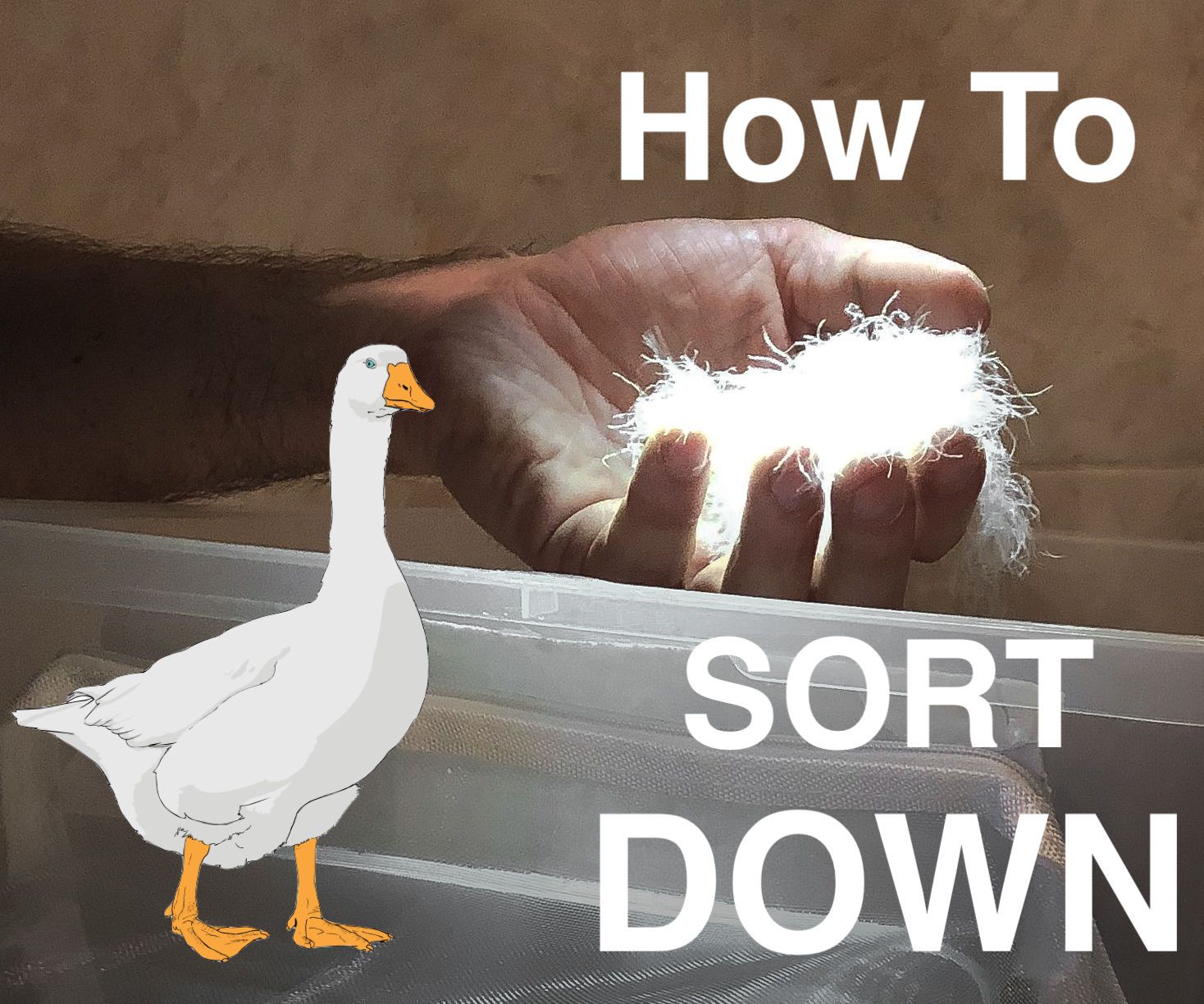 Down Sorting Station 