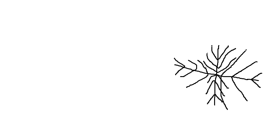 How to Fossilize a Snowflake