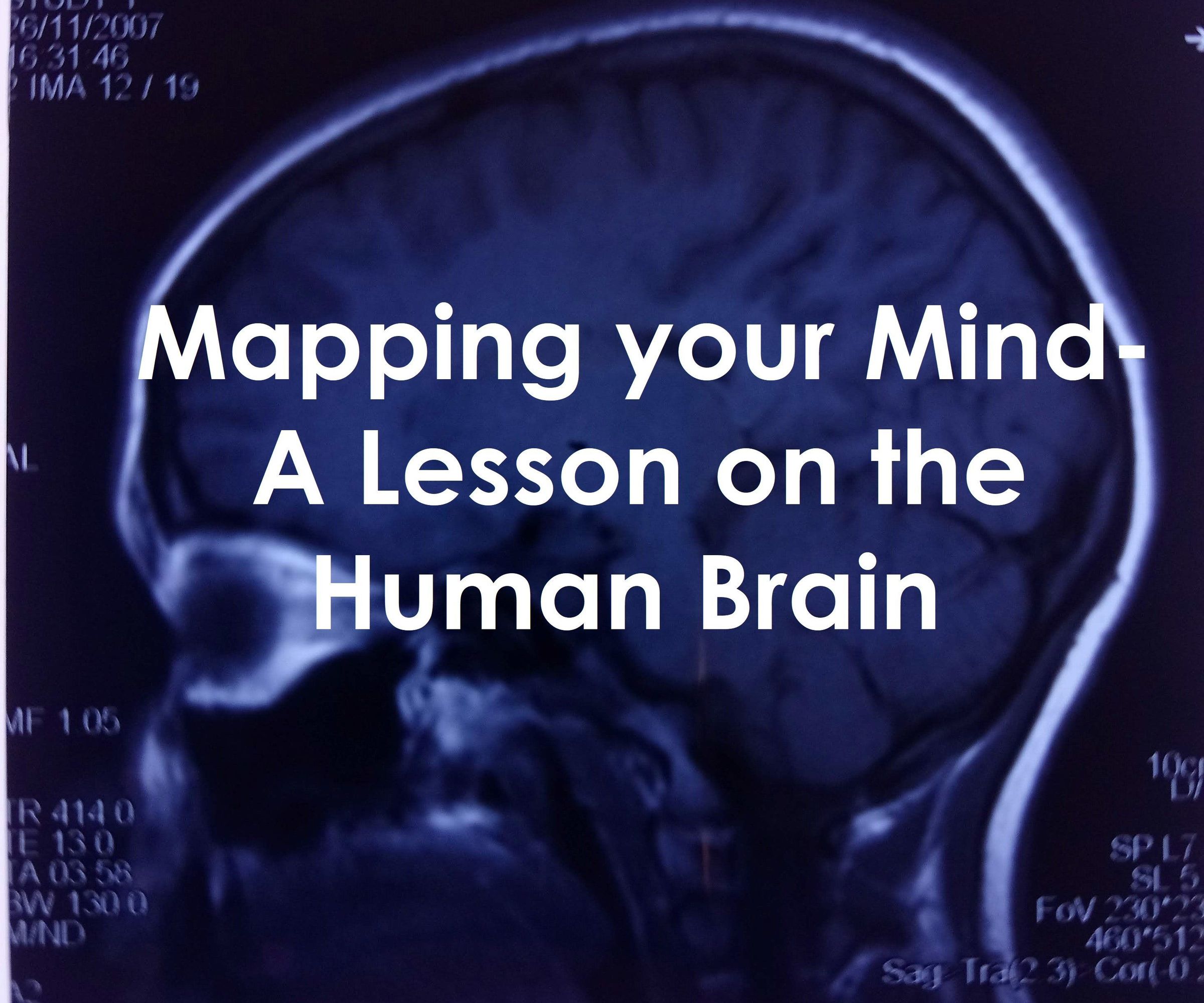Mapping Your Mind- a Lesson on the Human Brain