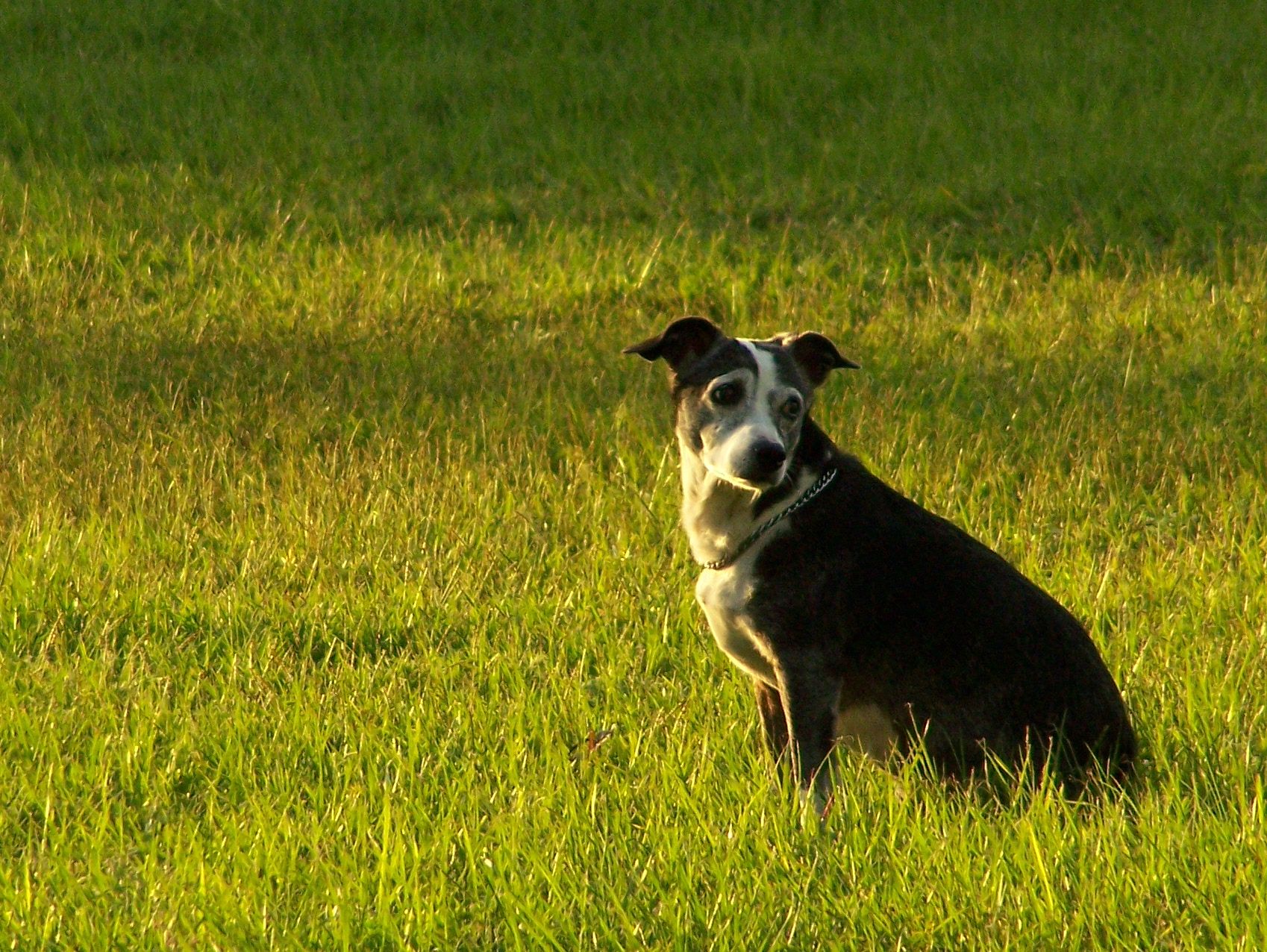 How to Take a Great Photograph.