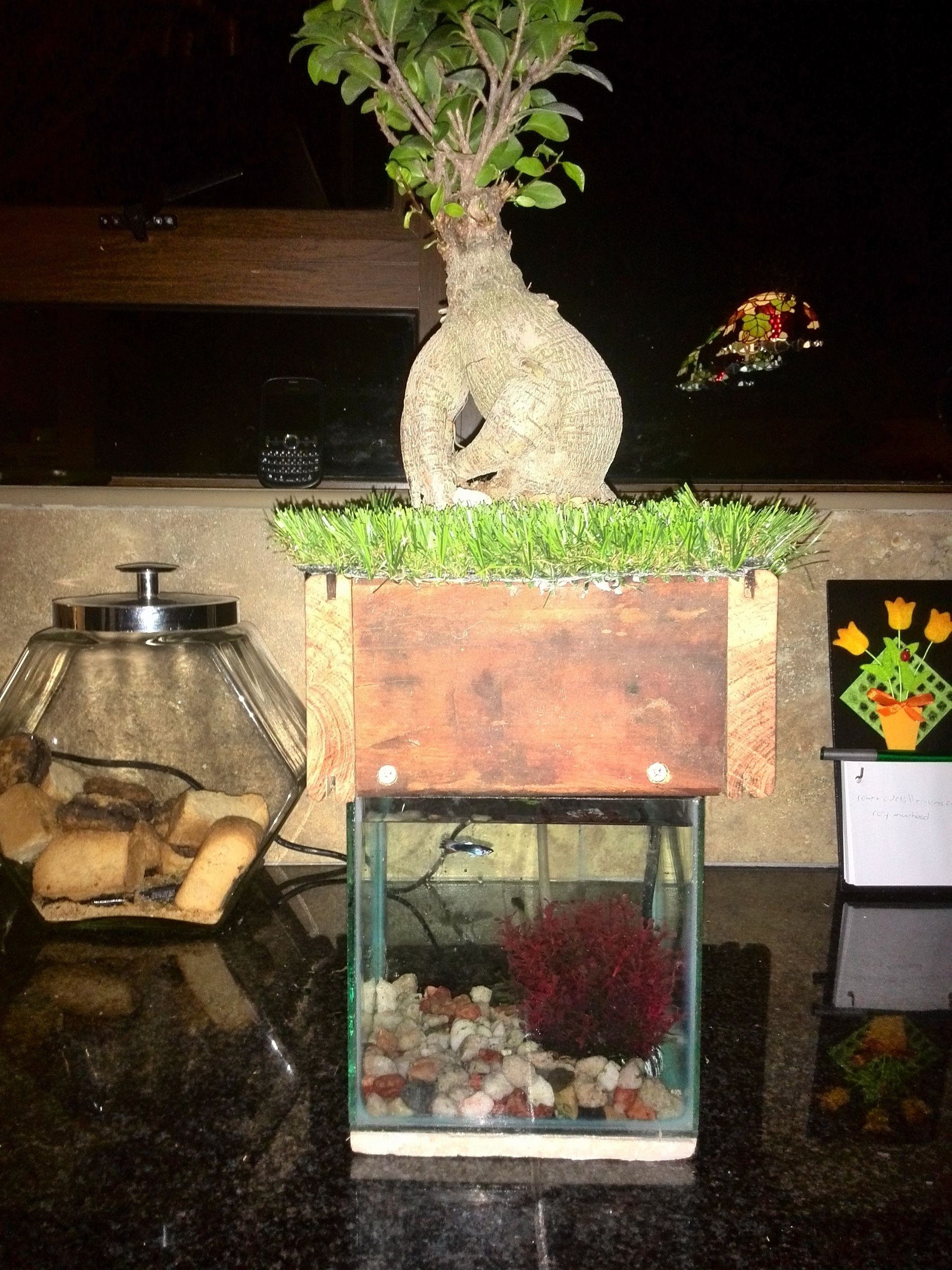 Bonsai Aquaponic 9 Steps Instructables