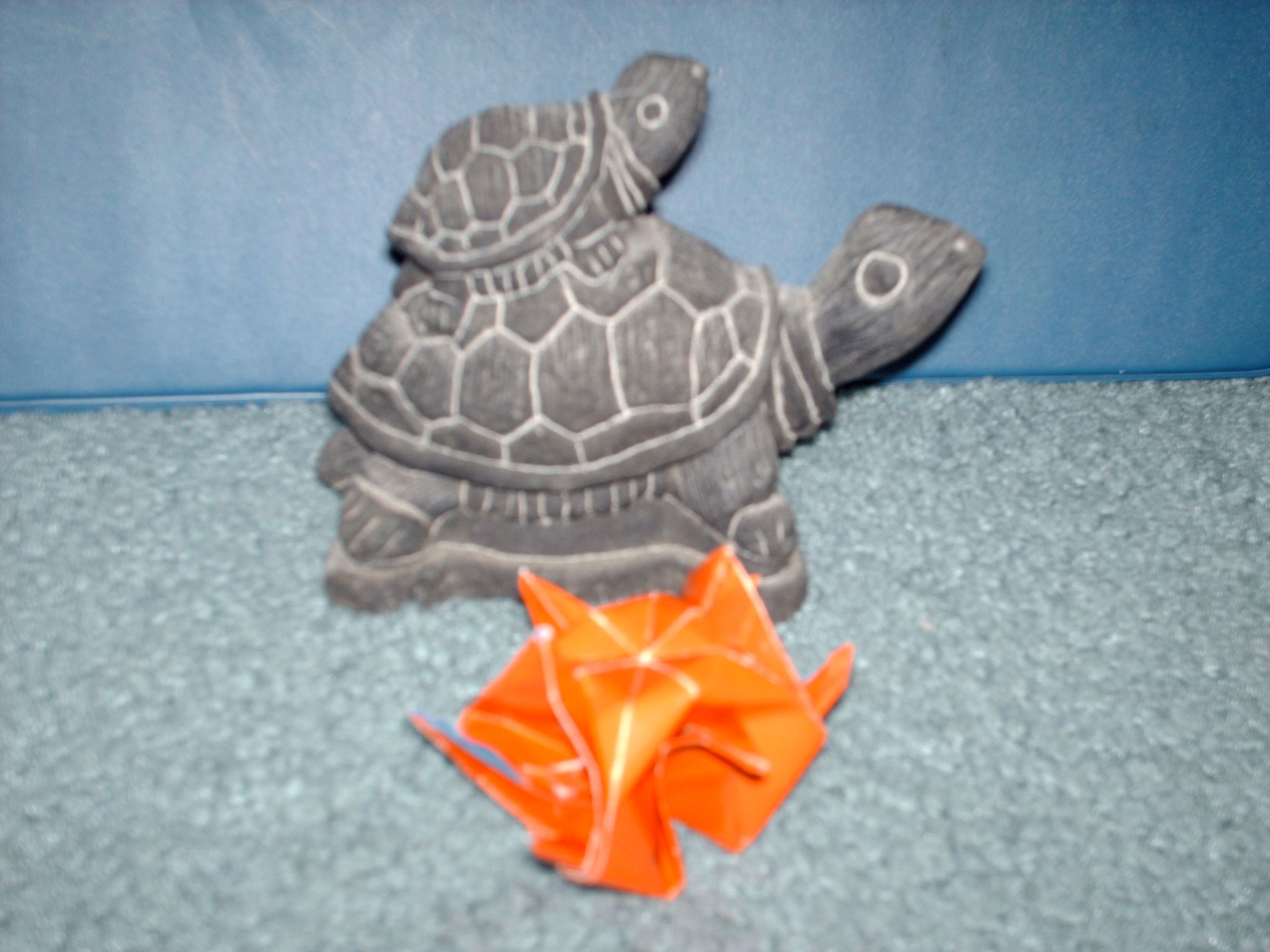 Origami Box Turtle