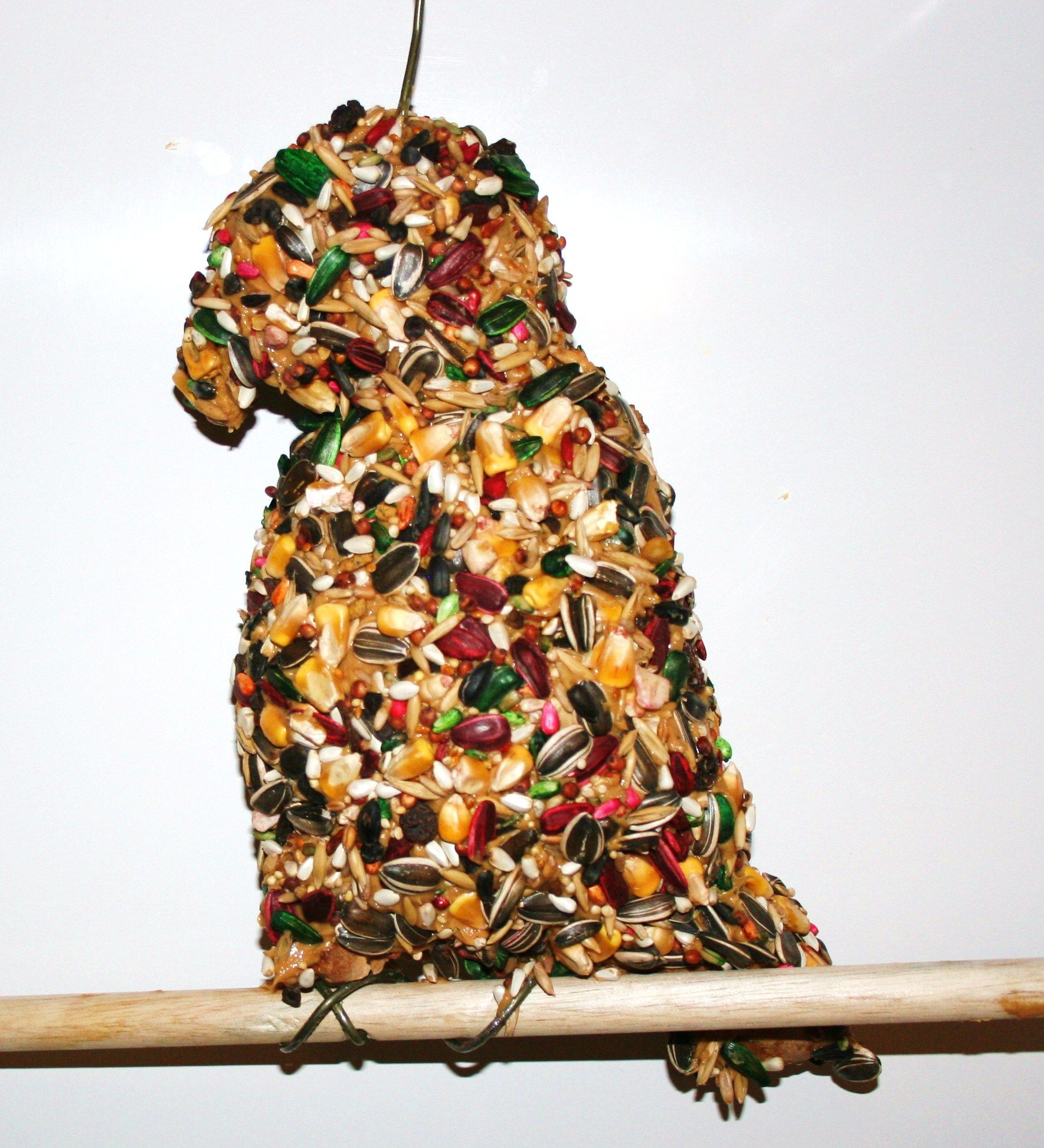Bird Feeder Bird