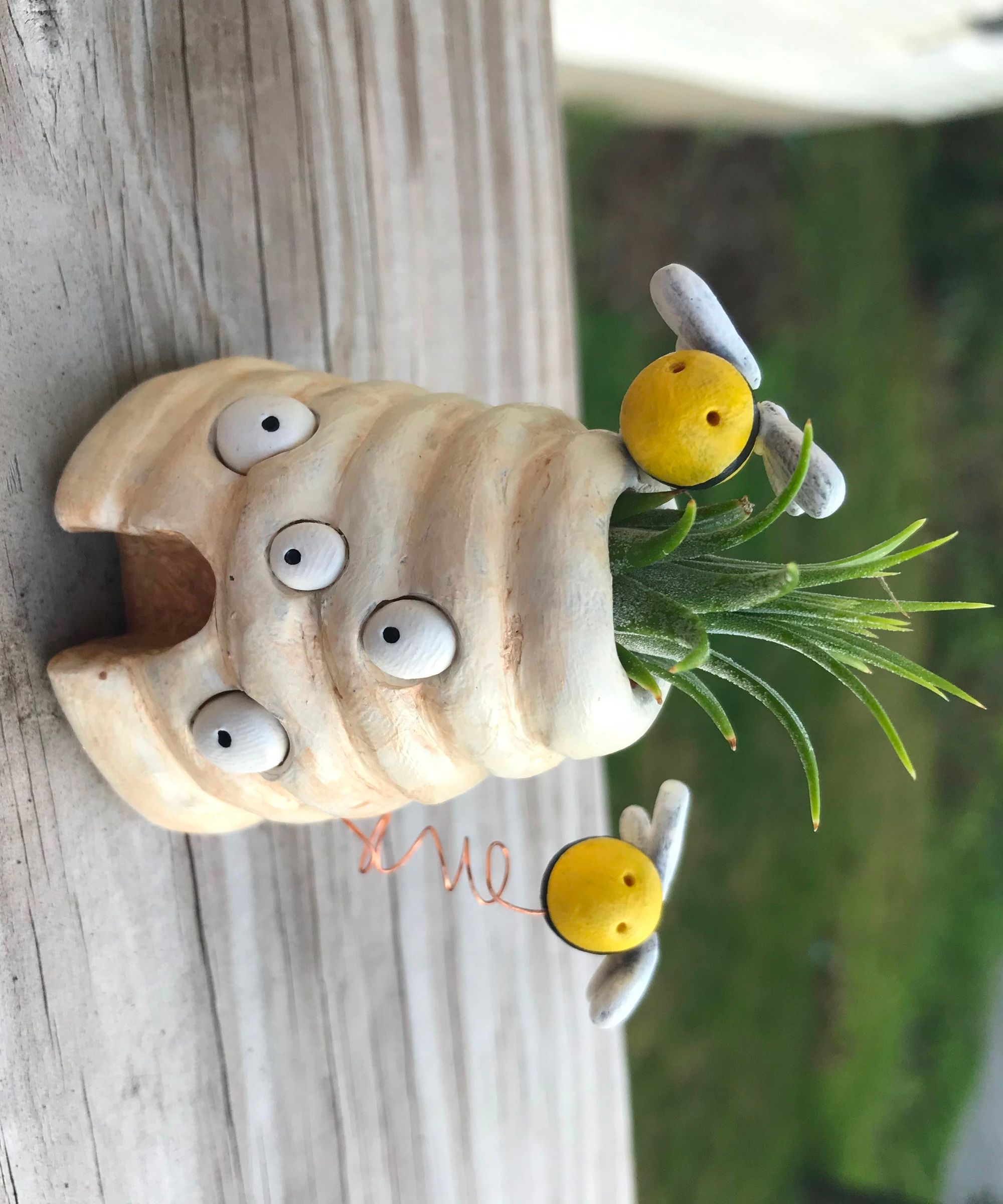 Beehive Air Plant Container