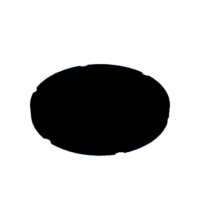 download {{ file.name }}