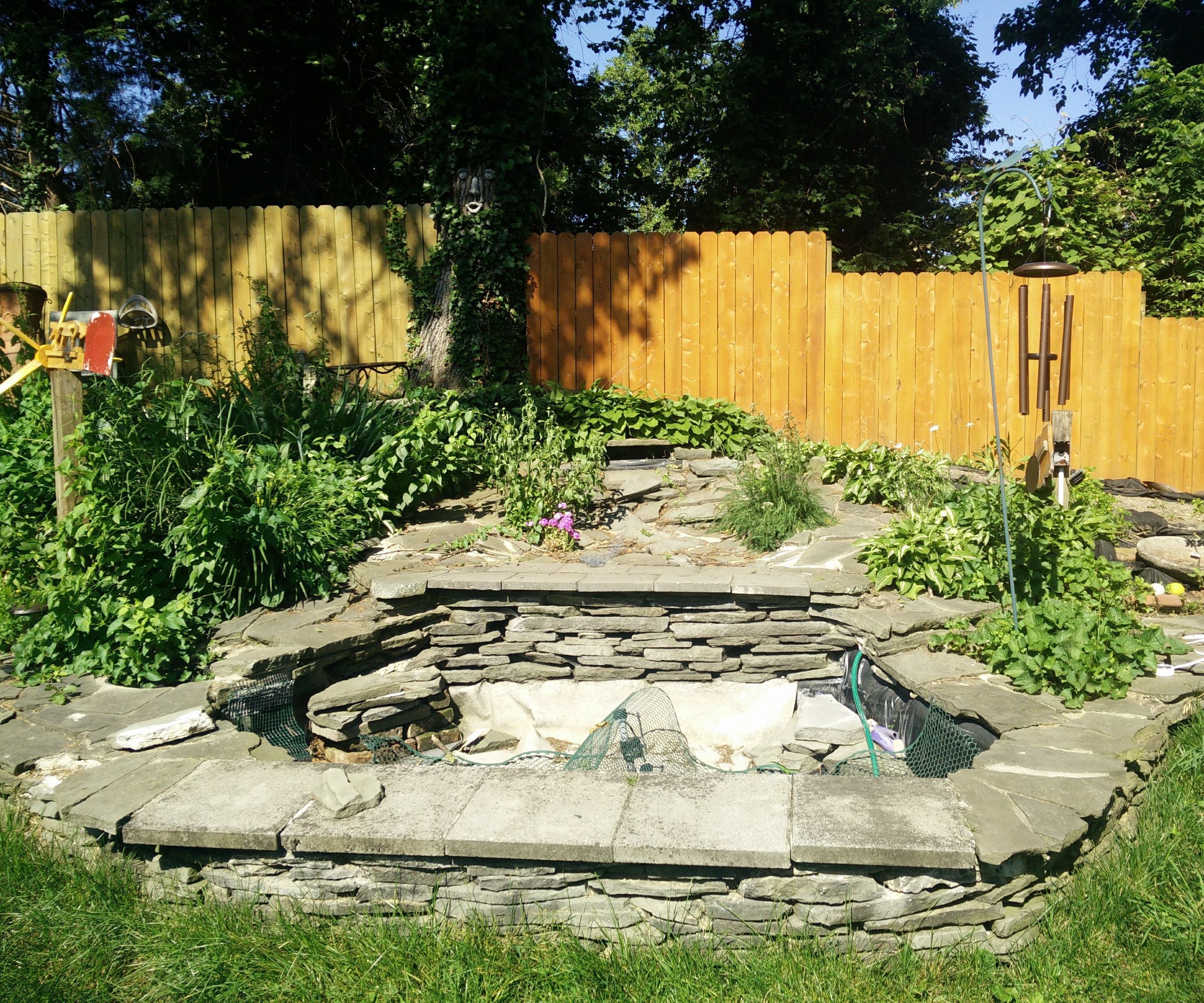 Upgrading My Old Pond