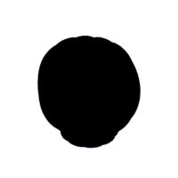 download {{ file.name }}