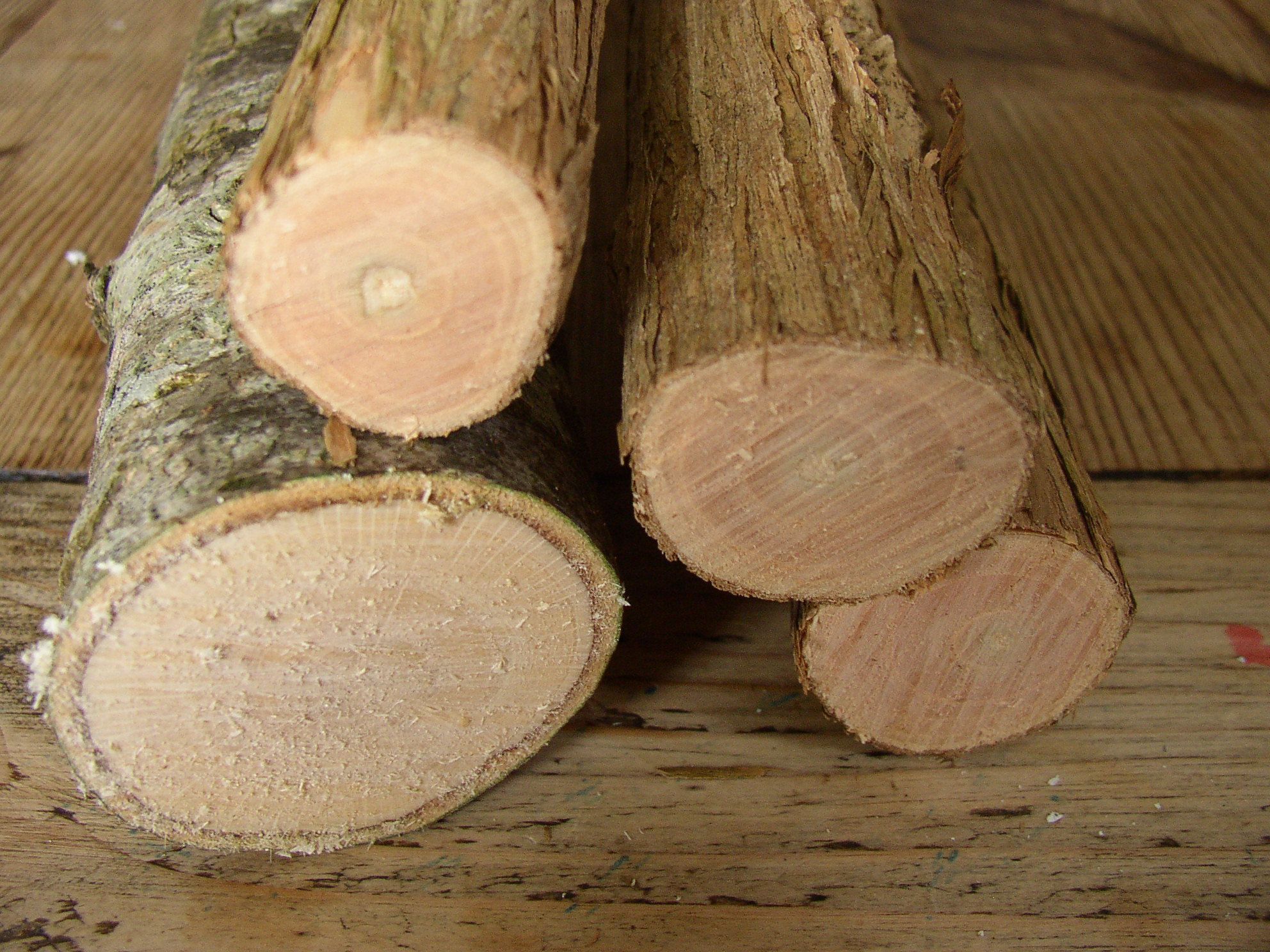 Seasoning Small Section Timber.